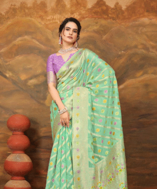 Rang Pure Soft Organza Saree with Waving